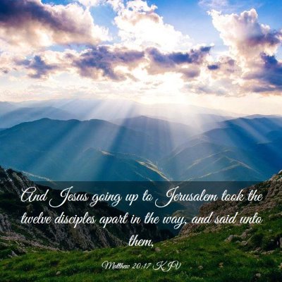 Picture 03 - Matthew 20:17 KJV - And Jesus going up to Jerusalem took the twelve - Bible Verse Picture