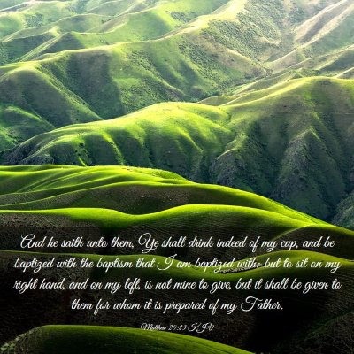 Picture 03 - Matthew 20:23 KJV - And he saith unto them, Ye shall drink indeed of - Bible Verse Picture