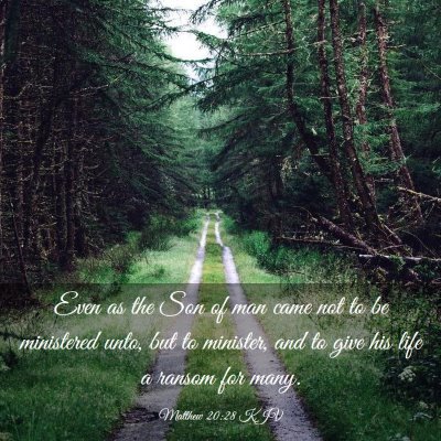 Picture 03 - Matthew 20:28 KJV - Even as the Son of man came not to be ministered - Bible Verse Picture