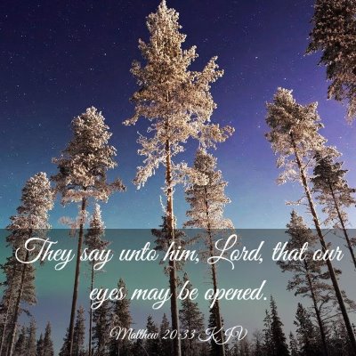Picture 03 - Matthew 20:33 KJV - They say unto him, Lord, that our eyes may be - Bible Verse Picture