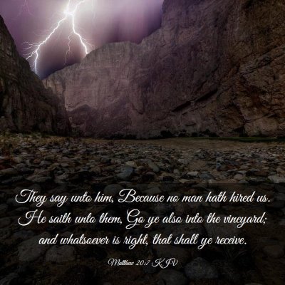 Picture 03 - Matthew 20:7 KJV - They say unto him, Because no man hath hired us. - Bible Verse Picture