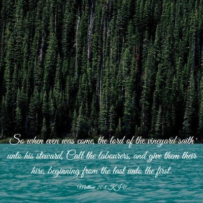 Picture 03 - Matthew 20:8 KJV - So when even was come, the lord of the vineyard - Bible Verse Picture