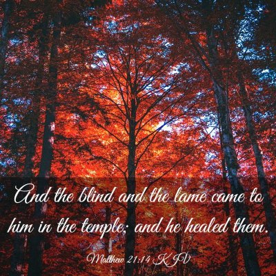 Picture 03 - Matthew 21:14 KJV - And the blind and the lame came to him in the - Bible Verse Picture