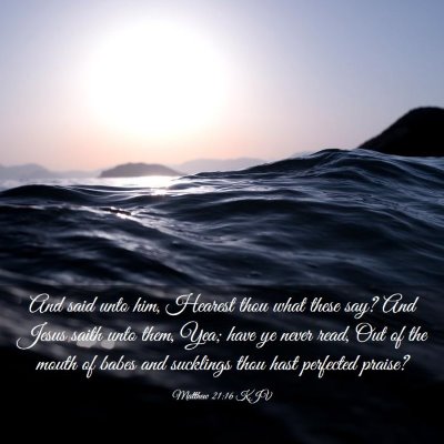 Picture 03 - Matthew 21:16 KJV - And said unto him, Hearest thou what these say? - Bible Verse Picture
