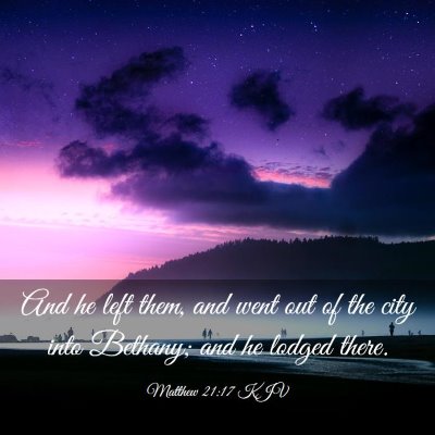 Picture 03 - Matthew 21:17 KJV - And he left them, and went out of the city into - Bible Verse Picture