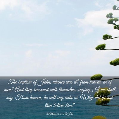 Picture 03 - Matthew 21:25 KJV - The baptism of John, whence was it? from heaven, - Bible Verse Picture