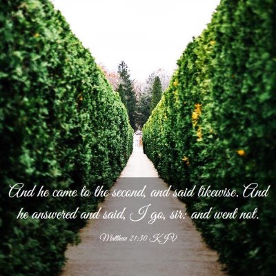 Picture 03 - Matthew 21:30 KJV - And he came to the second, and said likewise. And - Bible Verse Picture