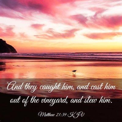 Picture 03 - Matthew 21:39 KJV - And they caught him, and cast him out of the - Bible Verse Picture