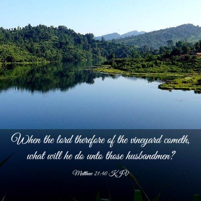 Picture 03 - Matthew 21:40 KJV - When the lord therefore of the vineyard cometh, - Bible Verse Picture