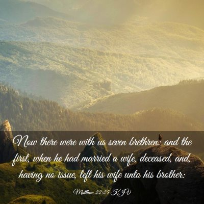 Picture 03 - Matthew 22:25 KJV - Now there were with us seven brethren: and the - Bible Verse Picture