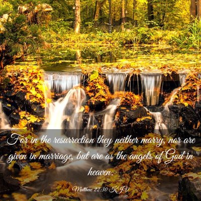 Picture 03 - Matthew 22:30 KJV - For in the resurrection they neither marry, nor - Bible Verse Picture