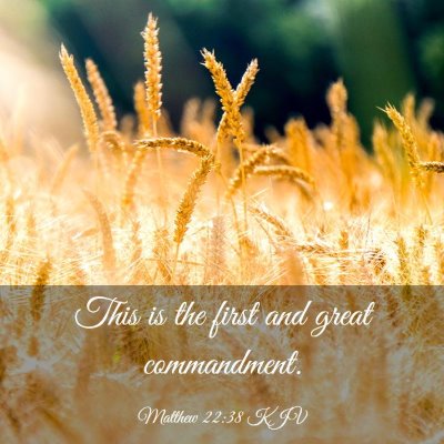 Picture 03 - Matthew 22:38 KJV - This is the first and great - Bible Verse Picture