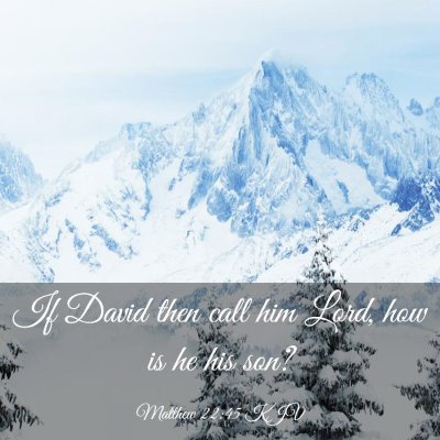 Picture 03 - Matthew 22:45 KJV - If David then call him Lord, how is he his - Bible Verse Picture