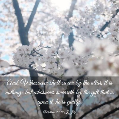 Picture 03 - Matthew 23:18 KJV - And, Whosoever shall swear by the altar, it is - Bible Verse Picture
