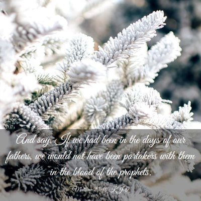 Picture 03 - Matthew 23:30 KJV - And say, If we had been in the days of our - Bible Verse Picture