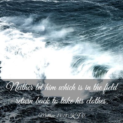 Picture 03 - Matthew 24:18 KJV - Neither let him which is in the field return back - Bible Verse Picture