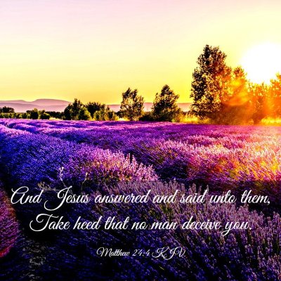 Picture 03 - Matthew 24:4 KJV - And Jesus answered and said unto them, Take heed - Bible Verse Picture