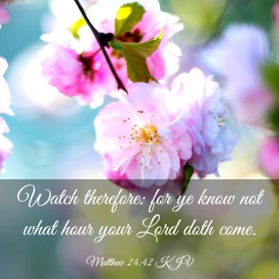 Picture 03 - Matthew 24:42 KJV - Watch therefore: for ye know not what hour your - Bible Verse Picture