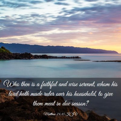 Picture 03 - Matthew 24:45 KJV - Who then is a faithful and wise servant, whom his - Bible Verse Picture