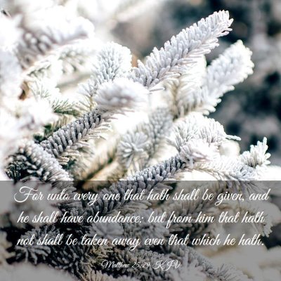 Picture 03 - Matthew 25:29 KJV - For unto every one that hath shall be given, and - Bible Verse Picture