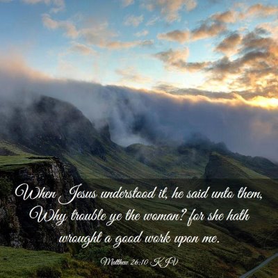 Picture 03 - Matthew 26:10 KJV - When Jesus understood it, he said unto them, Why - Bible Verse Picture