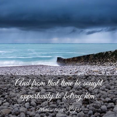 Picture 03 - Matthew 26:16 KJV - And from that time he sought opportunity to - Bible Verse Picture