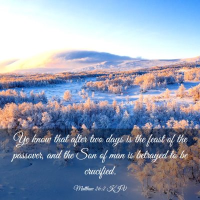 Picture 03 - Matthew 26:2 KJV - Ye know that after two days is the feast of the - Bible Verse Picture