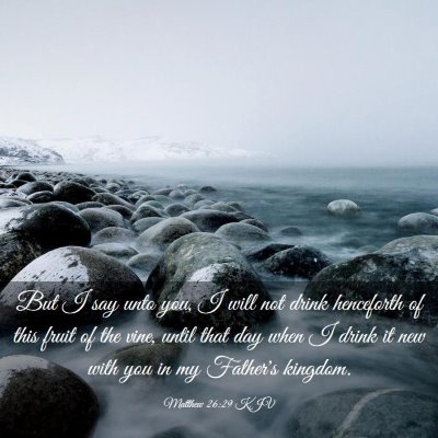 Picture 03 - Matthew 26:29 KJV - But I say unto you, I will not drink henceforth - Bible Verse Picture