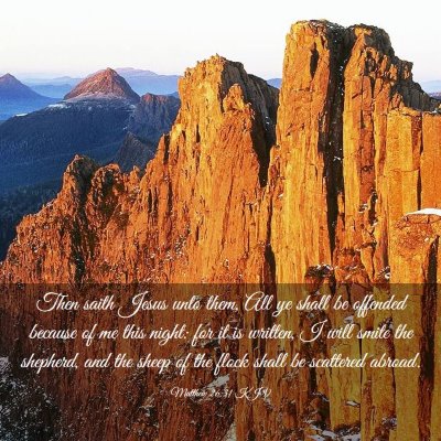 Picture 03 - Matthew 26:31 KJV - Then saith Jesus unto them, All ye shall be - Bible Verse Picture