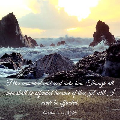 Picture 03 - Matthew 26:33 KJV - Peter answered and said unto him, Though all men - Bible Verse Picture