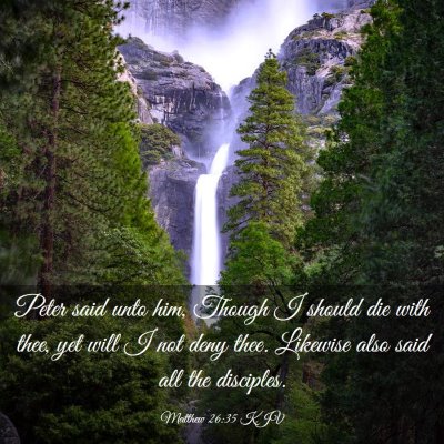Picture 03 - Matthew 26:35 KJV - Peter said unto him, Though I should die with - Bible Verse Picture