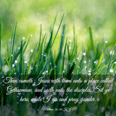 Picture 03 - Matthew 26:36 KJV - Then cometh Jesus with them unto a place called - Bible Verse Picture