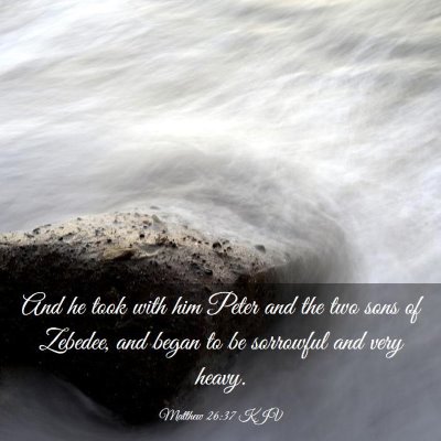 Picture 03 - Matthew 26:37 KJV - And he took with him Peter and the two sons of - Bible Verse Picture