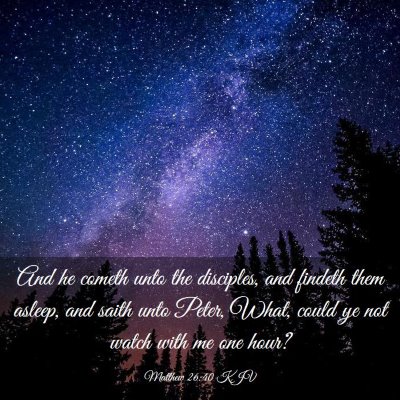 Picture 03 - Matthew 26:40 KJV - And he cometh unto the disciples, and findeth - Bible Verse Picture