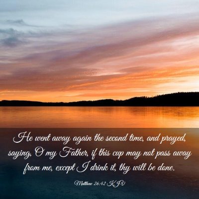 Picture 03 - Matthew 26:42 KJV - He went away again the second time, and prayed, - Bible Verse Picture