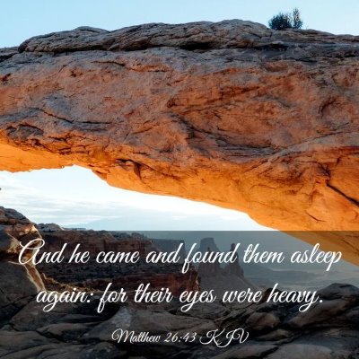 Picture 03 - Matthew 26:43 KJV - And he came and found them asleep again: for - Bible Verse Picture