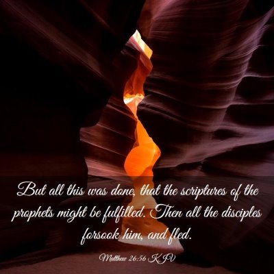 Picture 03 - Matthew 26:56 KJV - But all this was done, that the scriptures of the - Bible Verse Picture