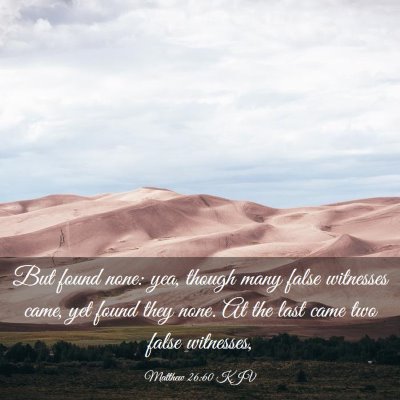 Picture 03 - Matthew 26:60 KJV - But found none: yea, though many false witnesses - Bible Verse Picture