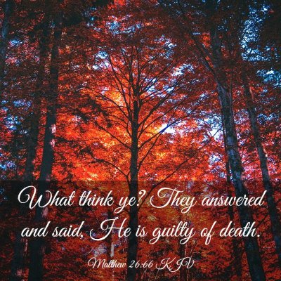Picture 03 - Matthew 26:66 KJV - What think ye? They answered and said, He is - Bible Verse Picture