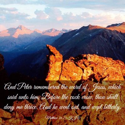 Picture 03 - Matthew 26:75 KJV - And Peter remembered the word of Jesus, which - Bible Verse Picture