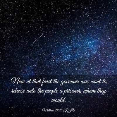 Picture 03 - Matthew 27:15 KJV - Now at that feast the governor was wont to - Bible Verse Picture