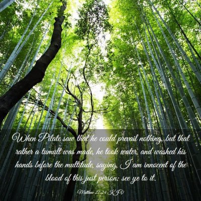 Picture 03 - Matthew 27:24 KJV - When Pilate saw that he could prevail nothing, - Bible Verse Picture
