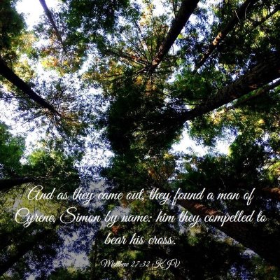 Picture 03 - Matthew 27:32 KJV - And as they came out, they found a man of Cyrene, - Bible Verse Picture