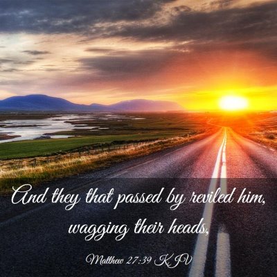 Picture 03 - Matthew 27:39 KJV - And they that passed by reviled him, wagging - Bible Verse Picture