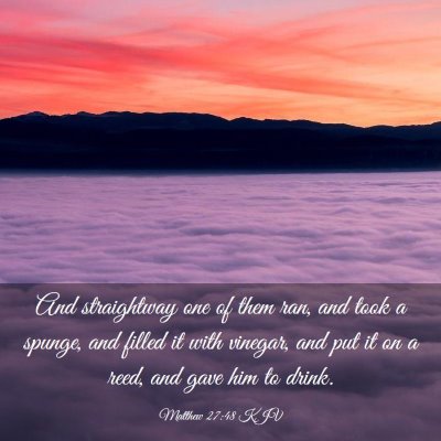 Picture 03 - Matthew 27:48 KJV - And straightway one of them ran, and took a - Bible Verse Picture