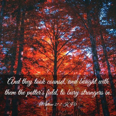 Picture 03 - Matthew 27:7 KJV - And they took counsel, and bought with them the - Bible Verse Picture