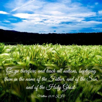 Picture 03 - Matthew 28:19 KJV - Go ye therefore, and teach all nations, baptizing - Bible Verse Picture