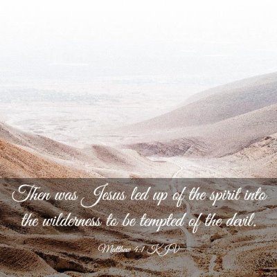 Picture 03 - Matthew 4:1 KJV - Then was Jesus led up of the spirit into the - Bible Verse Picture