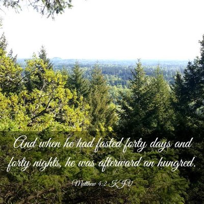 Picture 03 - Matthew 4:2 KJV - And when he had fasted forty days and forty - Bible Verse Picture