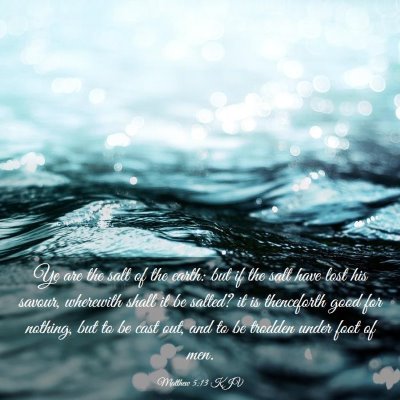 Picture 03 - Matthew 5:13 KJV - Ye are the salt of the earth: but if the salt - Bible Verse Picture